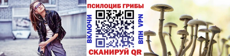 Псилоцибиновые грибы Psilocybe  Темников 